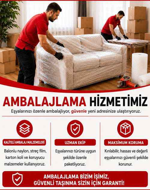 ANASAYFA